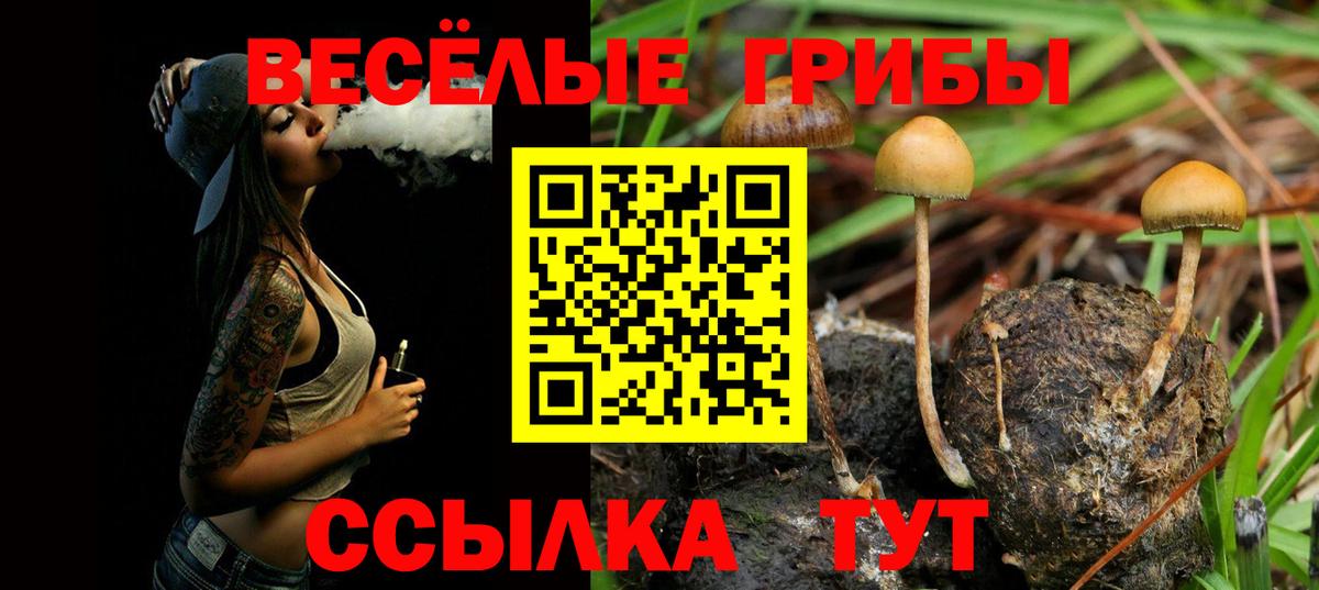 Галлюциногенные грибы Psilocybine cubensis  Вход с VPN  Галлюциногенные грибы прущие грибы  Волгодонск 