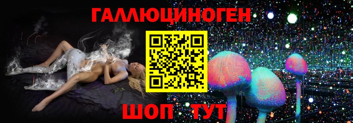 Псилоцибиновые грибы Cubensis Волгодонск